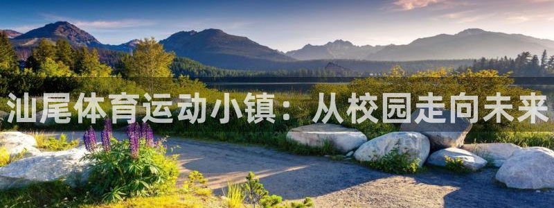 yy易游官方正版app官网:汕尾体育运动小镇:从校园走向未来