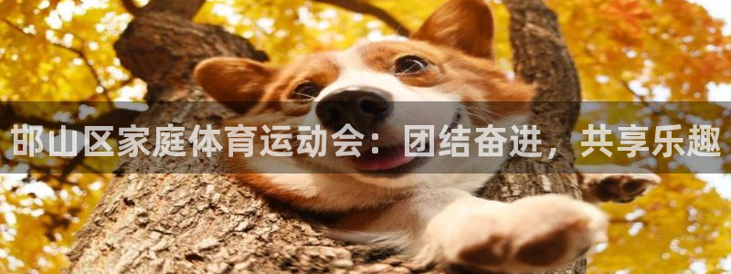 yy易游官方正版app代理:邯山区家庭体育运动会:团结奋进,