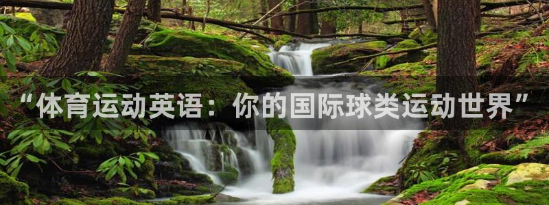 yy易游官方正版app集团简介:“体育运动英语:你的国际球类