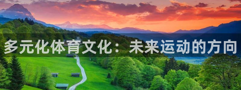 yy易游官网下载平台:多元化体育文化:未来运动的方向