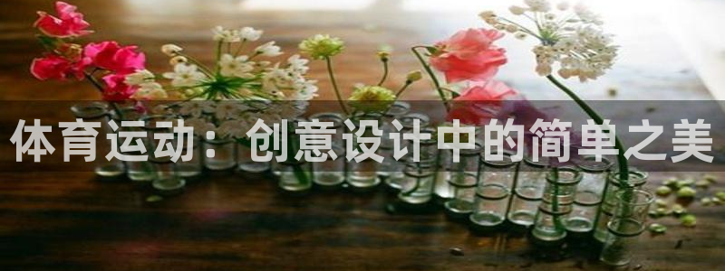 yy易游官网下载招商电话是多少:体育运动:创意设计中的简单之